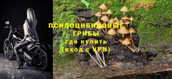 молекула духа Верея