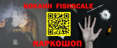 a pvp Славгород