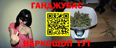 a pvp Славгород