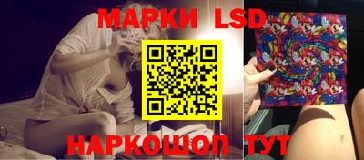 a pvp Славгород