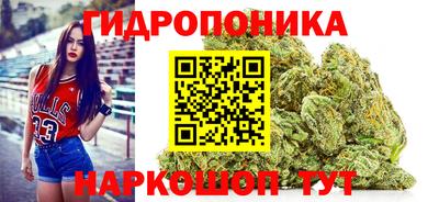 PSILOCYBIN Сланцы