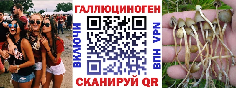 Галлюциногенные грибы мицелий  Рузаевка 