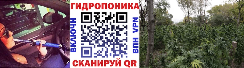 маркетплейс официальный сайт  Рузаевка  Бошки Шишки Ganja 